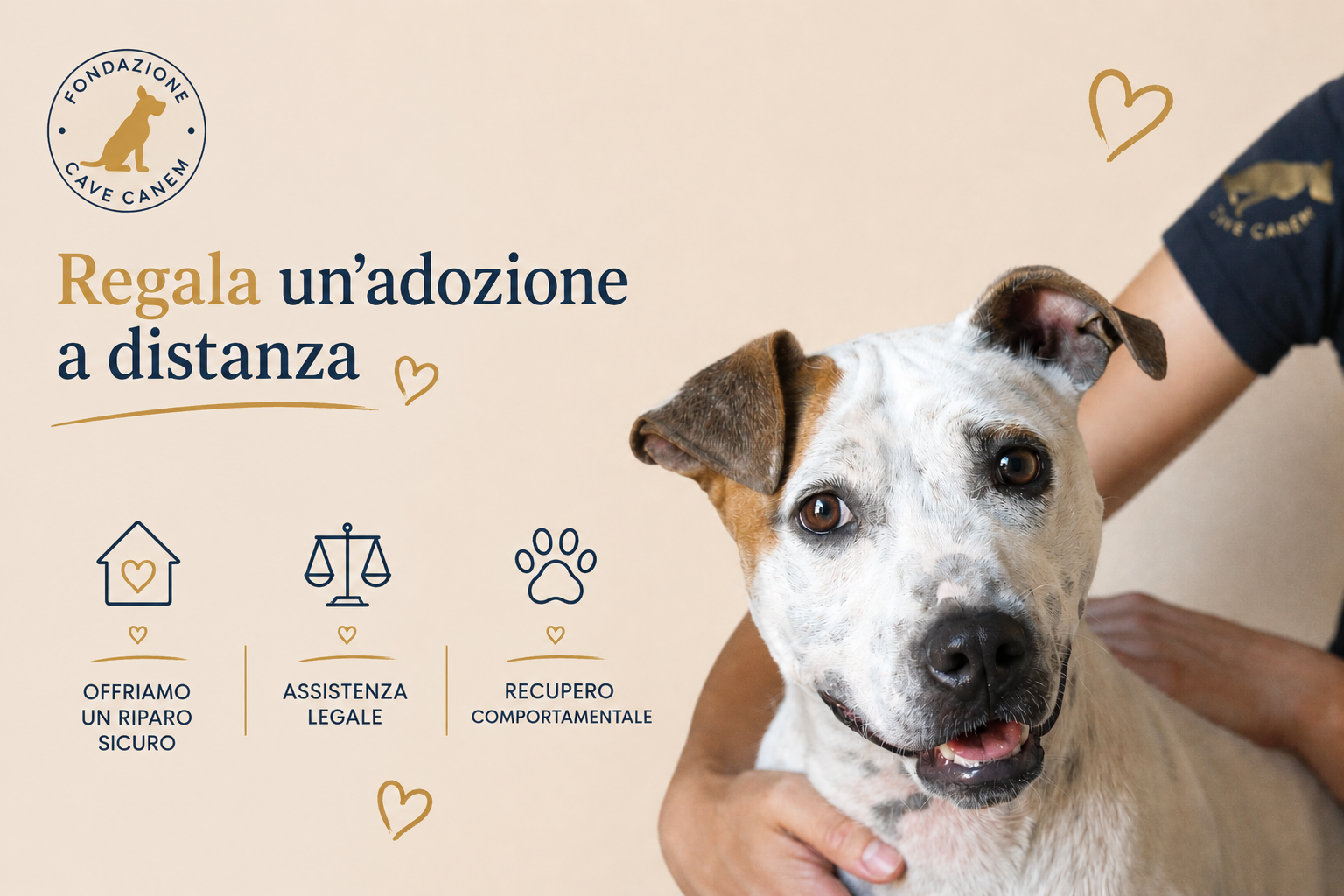Un cane accarezzato da una persona, con logo Fondazione Cave Canem e le icone di riparo sicuro, assistenza legale e recupero comportamentale